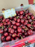 Cherry Chile Qilin – Con Lân 2JD | Xách 2.5kg – Size khủng, giòn ngọt đậm vị