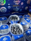 Việt Quất Luckycup 12 Cốc – Trái Cây Cao Cấp Tươi Ngon Chuẩn Nhập Khẩu Tại Like Fruit