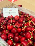 Cherry Chile SanFrancisco Size XLD – Trái To, Giòn Ngọt, Chuẩn Hàng Nhập Khẩu Cao Cấp