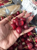 Cherry Chile 2JD – Siêu Giòn, Ngọt Đậm, Tươi Ngon Chuẩn Đầu Mùa