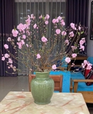 Cành đào tươi chưng Tết – Hoa hồng phấn, dáng đẹp, không khí Tết trọn vẹn