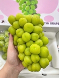 Nho Mẫu Đơn Shine Muscat – Thùng 2 Chùm Cao Cấp
