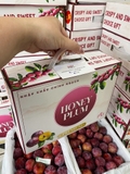 Mận mật ong tím Róc Hạt