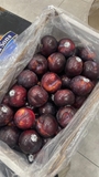Mận Úc Ebony Rose Plum – Ruột Đỏ Ngọt Đậm, Vỏ Tím Sang Trọng | Trái Cây Nhập Khẩu Cao Cấp