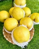 LÊ MẬT HÀ GIANG
