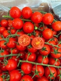 Cà chua cherry đỏ - cà chua chuỗi ngọc