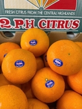 Quýt Úc 2PH Citrus S48