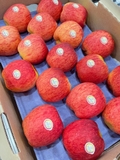 Táo Ambrosia New Zealand – Giòn Ngọt, Hương Vị Tinh Tế Khó Quên