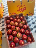 Táo JOYA size 100