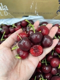 Cherry Đỏ Úc Koala S26 – Trái To Giòn Ngọt, Hàng Cao Cấp Tại Likefruit