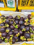 Măng Cụt Thái Lan Tươi Ngon – Trái Cây Nữ Hoàng, Ngọt Thanh Chuẩn Mùa | Like Fruit
