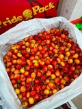 Cherry Vàng Mỹ S10 PridePack – Siêu Phẩm Giòn Ngọt, Hiếm Mỗi Mùa