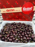 Cherry  Bite riot S28