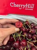 Cherry đỏ úc Hill Regina 26-28 – Trái Tươi Giòn Mọng, Ngọt Sâu Chuẩn Chất Lượng Cao Cấp