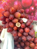 NHO ĐỎ NỮ HOÀNG NINA