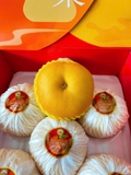 LÊ XANH NHẬT