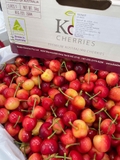 Cherry Vàng Koala  – Ngọt Thanh, Giòn Mọng, Đẳng Cấp Quà Biếu Cao Cấp