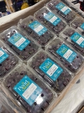 Nho kẹo Nam Phi hộp 500gr – Ngọt thơm tự nhiên, không cần lột vỏ