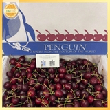 Cherry New Zealand Penguin size 26–28 (thùng 5kg) – Trái to đều, ngọt đậm, giòn mọng cao cấp