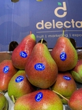 LÊ NAM PHI DELECTA S52