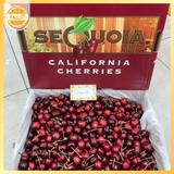 Cherry Mỹ Sequoia S10 (Lô đầu mùa) – Trái To Giòn Ngọt, Hàng Cực Tươi