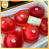 Lựu Huyết Rồng – Đỏ Ruby, Ngọt Thanh, Giàu Chất Chống Oxy Hóa (Thùng size 6)