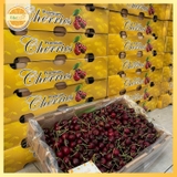 Cherry Chile XLD Queen Regina – Trái đại size, giòn ngọt sang trọng