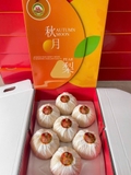 LÊ XANH NHẬT