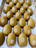 KIWI VÀNG NZ S25