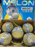 DƯA SỮA GIỐNG NHẬT S5