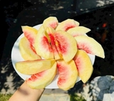 ĐÀO TUYẾT LỆ GIANG