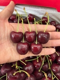 Cherry đỏ úc Hill Regina 26-28 – Trái Tươi Giòn Mọng, Ngọt Sâu Chuẩn Chất Lượng Cao Cấp