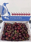 Cherry New Zealand Penguin (Thùng 2kg) – Trái to đều, giòn ngọt đậm vị, cao cấp làm quà biếu