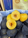 Mận cau bọc lưới