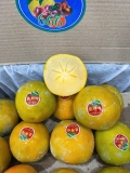 Hồng giòn socola