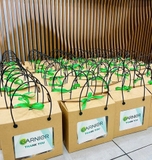 MẪU QUÀ TẶNG TRÁI CÂY (HOTLINE : 0799.577.866)