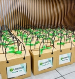 MẪU QUÀ TẶNG TRÁI CÂY (HOTLINE : 0799.577.866)