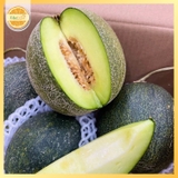 Dưa Lưới Hữu Cơ Việt Nam Ruột Xanh – Thùng 6–6.5kg