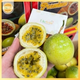 Chanh Dây Ngọt Vỏ Ổi – Thơm Dịu, Ít Chua, Ăn Tươi Cực Đã | Like Fruit