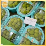 Nho Mẫu Đơn Shine Muscat 6 Hộp – Ngọt Thanh, Giòn Sang, Quà Tặng Chuẩn Cao Cấp