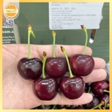 Cherry úc S28+