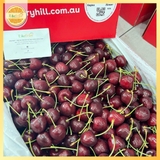 Cherry đỏ úc Hill Regina 26-28 – Trái Tươi Giòn Mọng, Ngọt Sâu Chuẩn Chất Lượng Cao Cấp