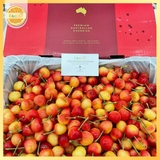Cherry Vàng Koala Úc – Ngọt Thanh, Giòn Mọng, Chuẩn Cao Cấp