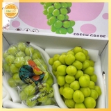 Nho Mẫu Đơn Shine Muscat – Thùng 2 Chùm Cao Cấp