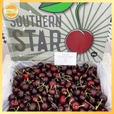Cherry Úc Southern Size lớn – Trái Tươi Giòn Mọng, Ngọt Sâu Chuẩn Chất Lượng Cao Cấp