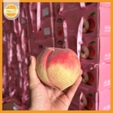 Đào tuyết Lệ Giang (Kg lẻ)