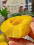 Mận cau bọc lưới
