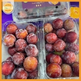 Mận mật ong tím (Hộp 500gr)