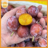 MẬN ĐƯỜNG CHILE - 2KG