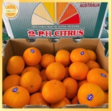 Quýt Úc 2PH Citrus S48